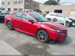 4T1B11HK3KU159975 2019 TOYOTA CAMRY