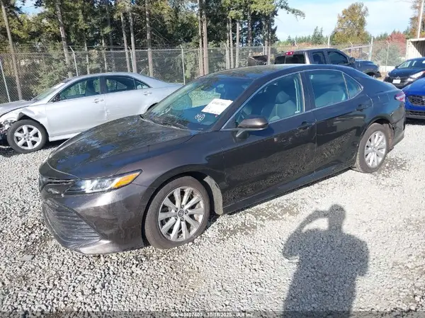 4T1B11HK3KU188960 2019 TOYOTA CAMRY - Image 2