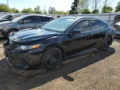 4T1B11HK3KU192491 2019 TOYOTA CAMRY