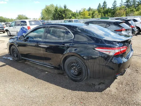 4T1B11HK3KU192491 2019 TOYOTA CAMRY - Image 2