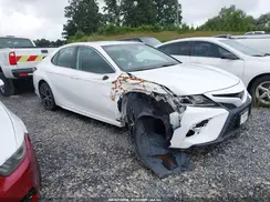 4T1B11HK3KU195682 2019 TOYOTA CAMRY