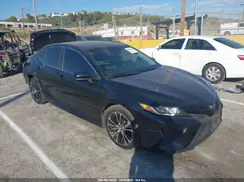 4T1B11HK3KU203988 2019 TOYOTA CAMRY
