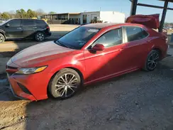 4T1B11HK3KU204428 2019 TOYOTA CAMRY