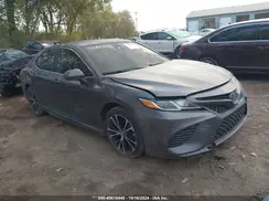 4T1B11HK3KU206860 2019 TOYOTA CAMRY