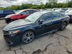 4T1B11HK3KU209807 2019 TOYOTA CAMRY