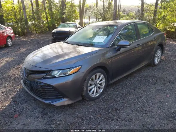 4T1B11HK3KU213064 2019 TOYOTA CAMRY - Image 2
