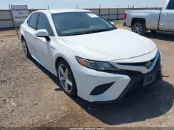 4T1B11HK3KU216689 2019 TOYOTA CAMRY