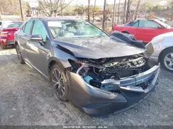 4T1B11HK3KU231662 2019 TOYOTA CAMRY