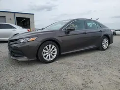 4T1B11HK3KU251099 2019 TOYOTA CAMRY