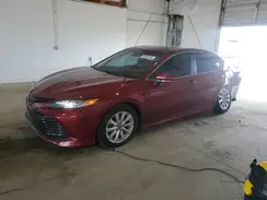 4T1B11HK3KU251720 2019 TOYOTA CAMRY