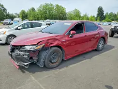 4T1B11HK3KU257677 2019 TOYOTA CAMRY