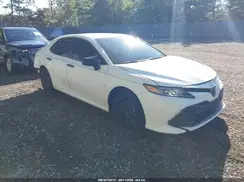 4T1B11HK3KU261244 2019 TOYOTA CAMRY