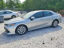4T1B11HK3KU261325 2019 TOYOTA CAMRY