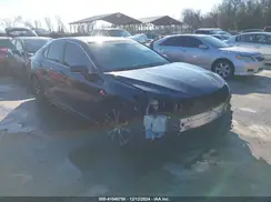 4T1B11HK3KU263804 2019 TOYOTA CAMRY