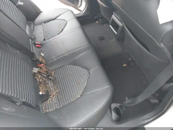 4T1B11HK3KU281333 2019 TOYOTA CAMRY - Image 8
