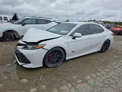 4T1B11HK3KU284829 2019 TOYOTA CAMRY