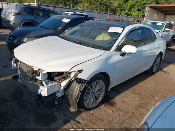 4T1B11HK3KU299282 2019 TOYOTA CAMRY - Image 2