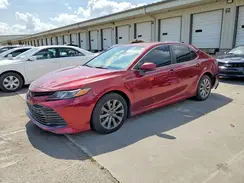 4T1B11HK3KU683563 2019 TOYOTA CAMRY