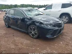 4T1B11HK3KU692263 2019 TOYOTA CAMRY