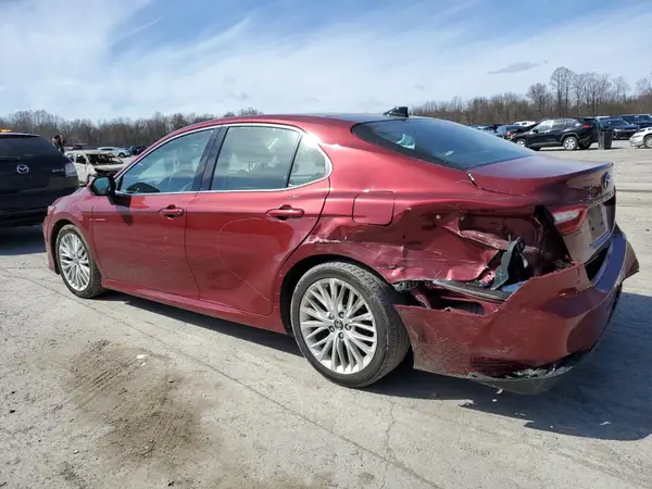 4T1B11HK3KU704167 2019 TOYOTA CAMRY - Image 2