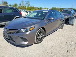 4T1B11HK3KU715685 2019 TOYOTA CAMRY