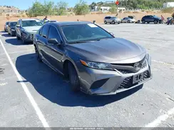 4T1B11HK3KU732230 2019 TOYOTA CAMRY