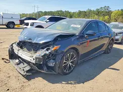 4T1B11HK3KU752493 2019 TOYOTA CAMRY