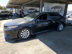 4T1B11HK3KU760206 2019 TOYOTA CAMRY
