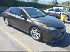 4T1B11HK3KU766393 2019 TOYOTA CAMRY