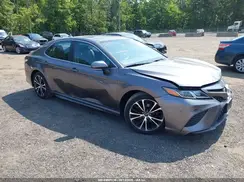 4T1B11HK3KU769066 2019 TOYOTA CAMRY