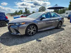 4T1B11HK3KU771240 2019 TOYOTA CAMRY