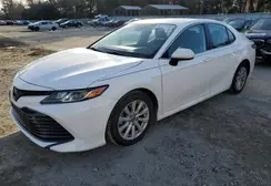 4T1B11HK3KU777989 2019 TOYOTA CAMRY