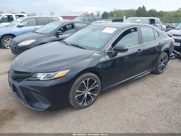 4T1B11HK3KU782156 2019 TOYOTA CAMRY - Image 2