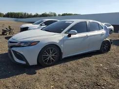 4T1B11HK3KU800008 2019 TOYOTA CAMRY