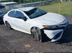 4T1B11HK3KU807847 2019 TOYOTA CAMRY