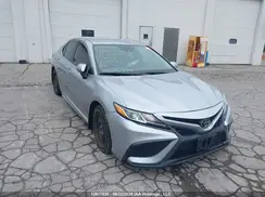 4T1B11HK3KU809081 2019 TOYOTA CAMRY