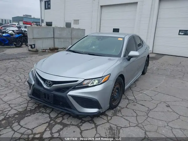4T1B11HK3KU809081 2019 TOYOTA CAMRY - Image 2