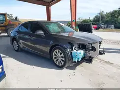 4T1B11HK3KU813695 2019 TOYOTA CAMRY