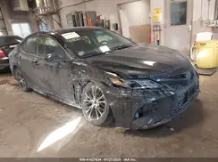 4T1B11HK3KU816905 2019 TOYOTA CAMRY