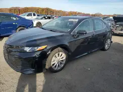 4T1B11HK3KU817259 2019 TOYOTA CAMRY