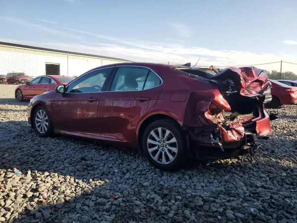 4T1B11HK3KU818511 2019 TOYOTA CAMRY - Image 2
