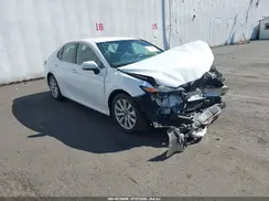 4T1B11HK3KU823885 2019 TOYOTA CAMRY