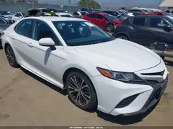 4T1B11HK3KU835065 2019 TOYOTA CAMRY