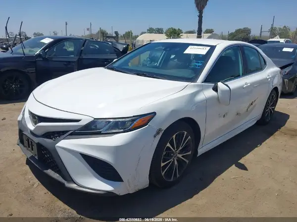 4T1B11HK3KU835065 2019 TOYOTA CAMRY - Image 2