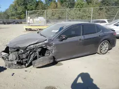 4T1B11HK3KU856224 2019 TOYOTA CAMRY