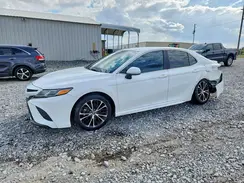 4T1B11HK3KU856434 2019 TOYOTA CAMRY