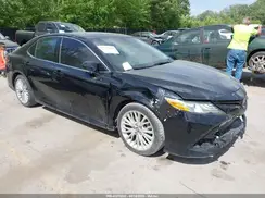 4T1B11HK4KU159810 2019 TOYOTA CAMRY