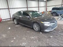 4T1B11HK4KU172086 2019 TOYOTA CAMRY