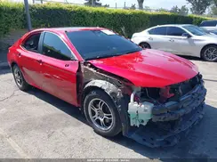 4T1B11HK4KU178924 2019 TOYOTA CAMRY