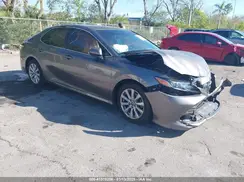 4T1B11HK4KU184304 2019 TOYOTA CAMRY